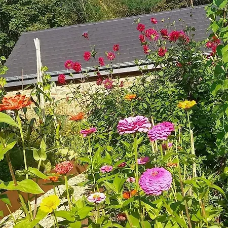 Vakantiehuis La Faironniere *