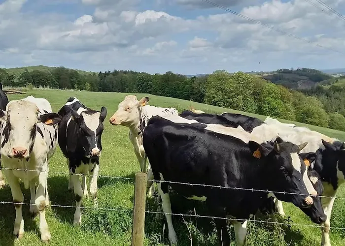 La Faironniere 펜션