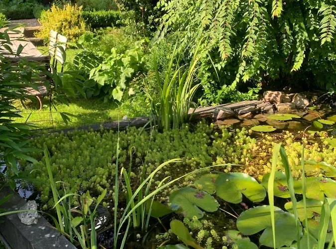 La Faironniere Hamoir